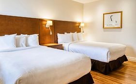 Motel Mistral